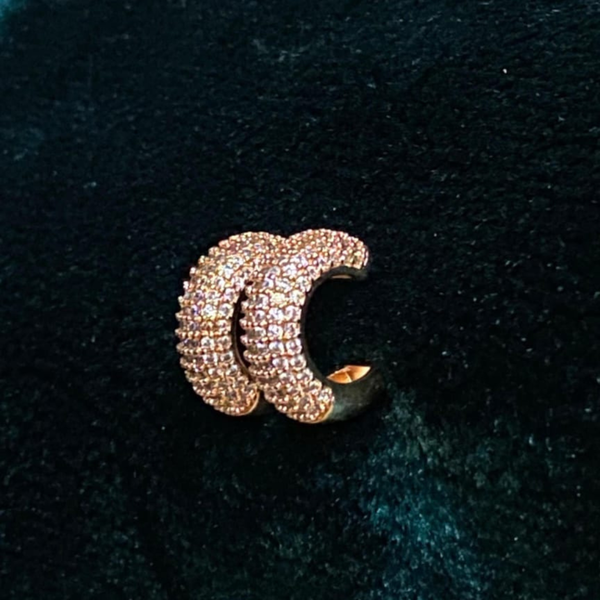 Cescent-shaped Earrings